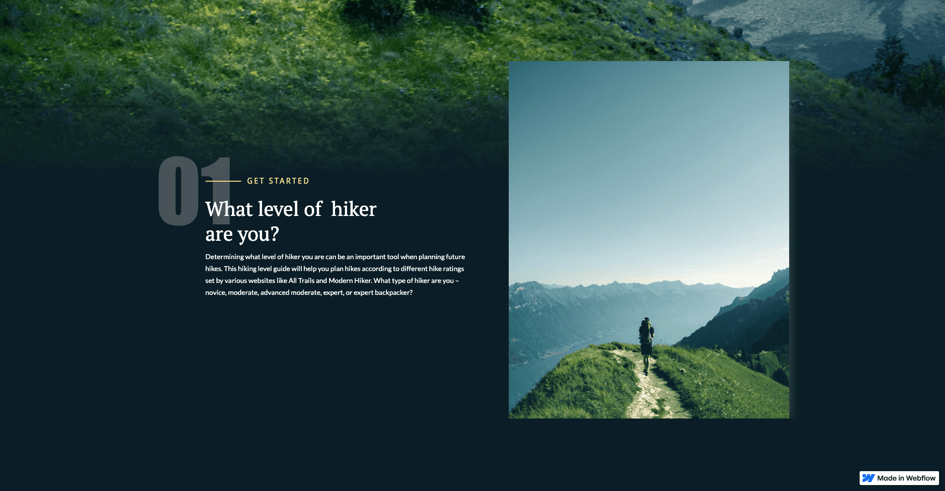 Webflow Website with Scroll Animations & CMS Integration screenshot 2
