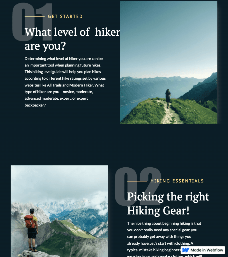 Webflow Website with Scroll Animations & CMS Integration screenshot 6