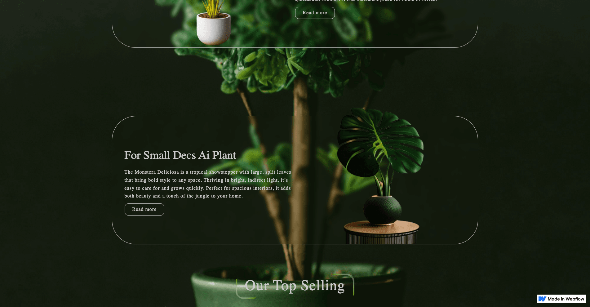 Сайт з Figma на Webflow: CMS, анімації, слайдер screenshot 2