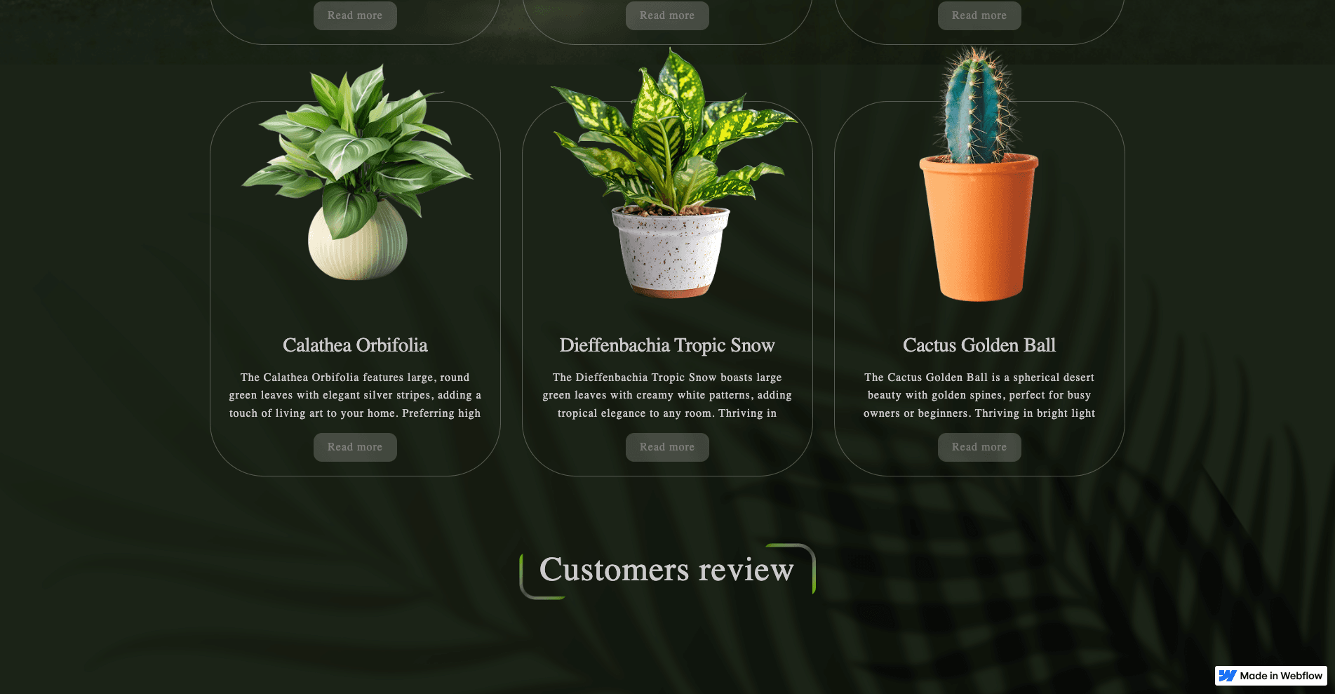 Сайт з Figma на Webflow: CMS, анімації, слайдер screenshot 4